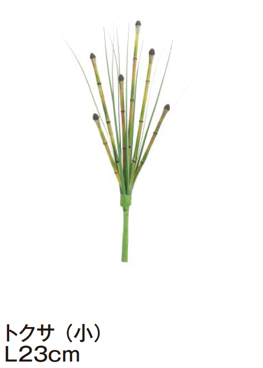 タカショーの「グランドカバー 下草【2024年版】」のサブ画像15