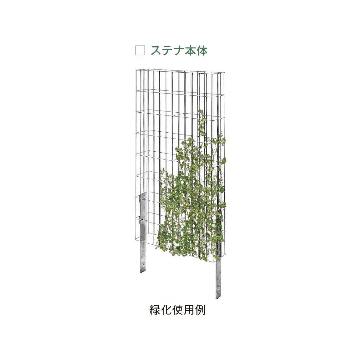 メイクランドの「ステナ」のサブ画像1