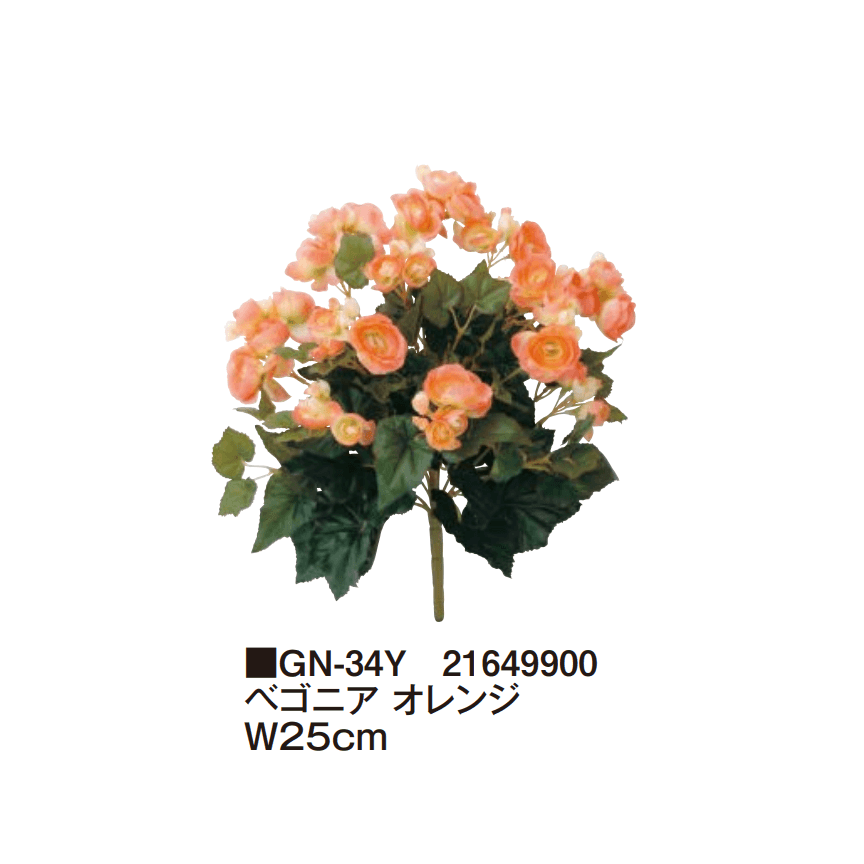 タカショーの「グランドカバー 下草【2025年版】」のサブ画像4