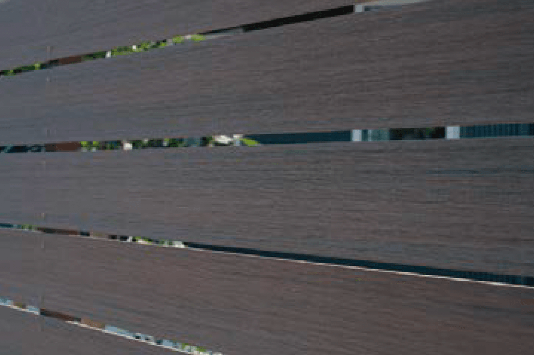 エクシスランドの「キノメ」のサブ画像5