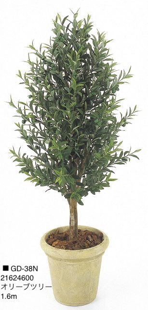 タカショーの「観葉植物【2024年版】」のサブ画像10