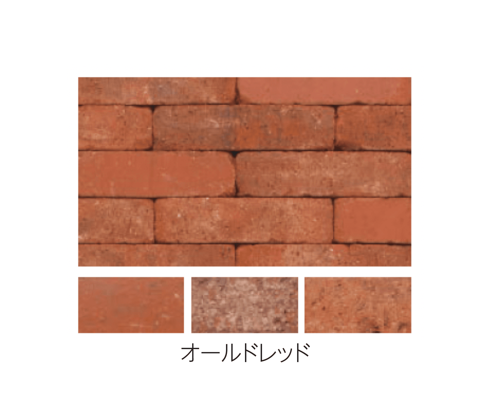 エスビックの「ベルク・ボーダー」のサブ画像2