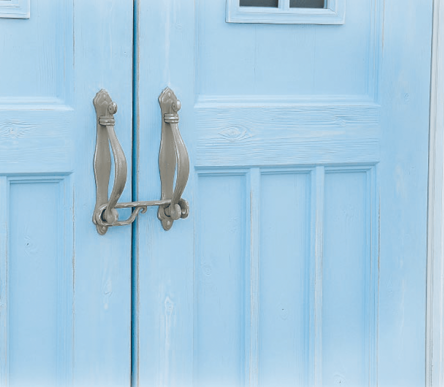 ディーズガーデンの「カンナフレンチシック」のサブ画像2