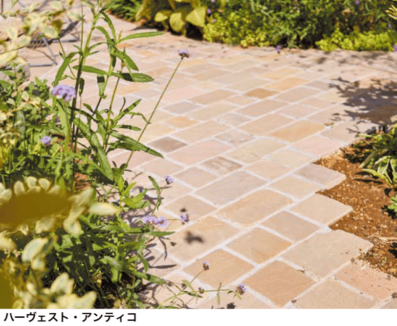 オンリーワンクラブの「アンティコシリーズ【2023年版】」