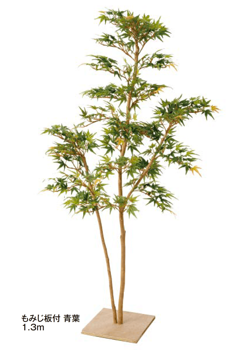 タカショーの「和風もみじ【2024年版】」のサブ画像5