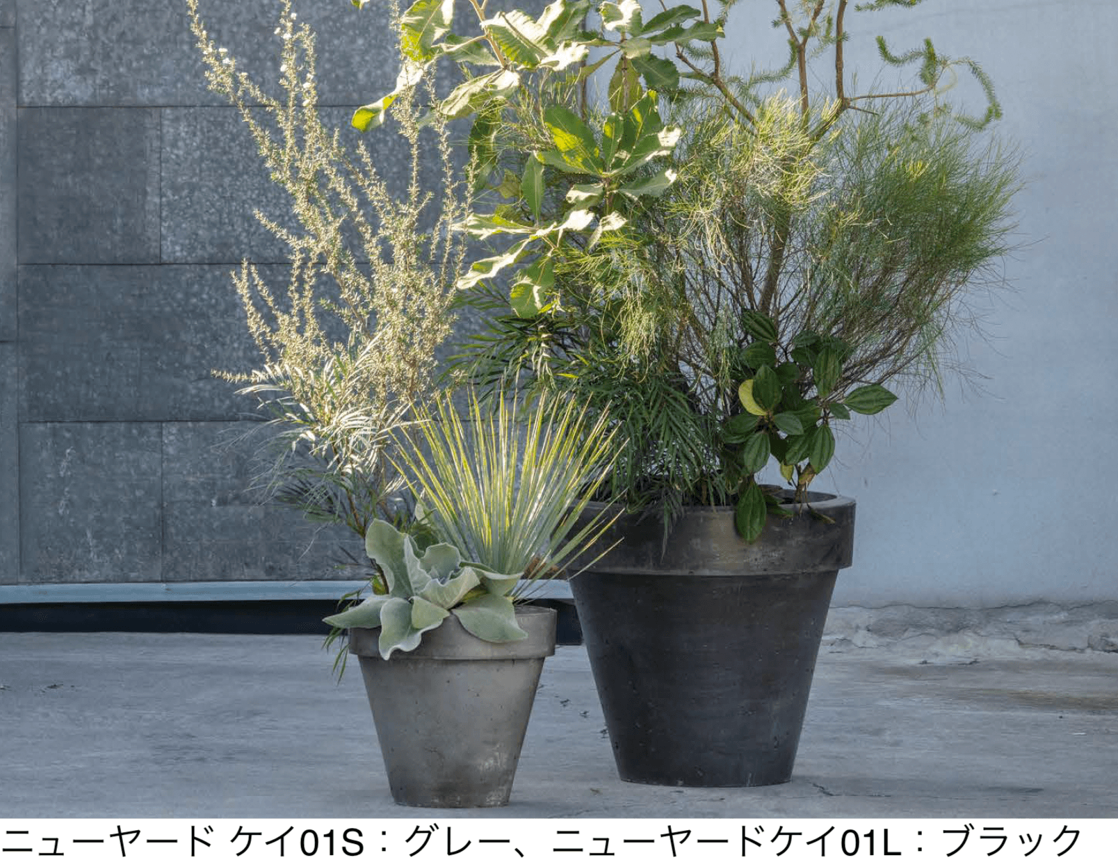 アイランドの「NUプランター ニューヤード ケイ01」