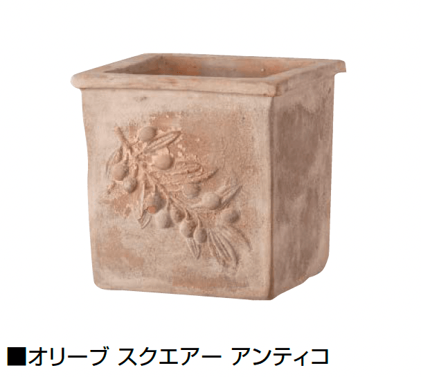 オンリーワンクラブの「アンティコ」のサブ画像4