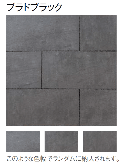 東洋工業の「プラーガペイブ」のサブ画像10