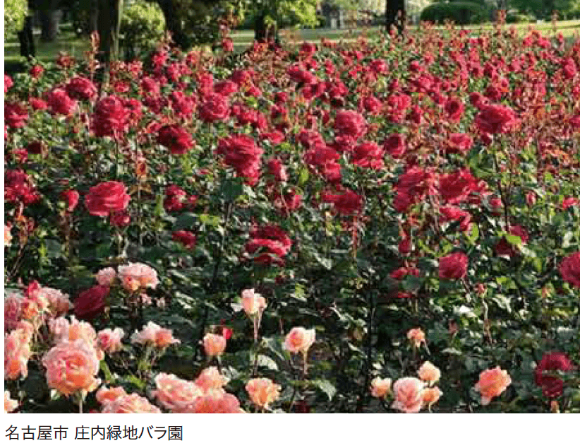 ゆとりの「ガーデンプレミアムコンポ【2023年版】」のサブ画像1