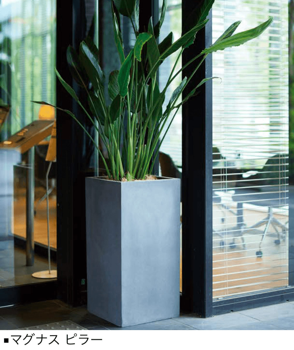 オンリーワンクラブの「マグナス」のサブ画像10