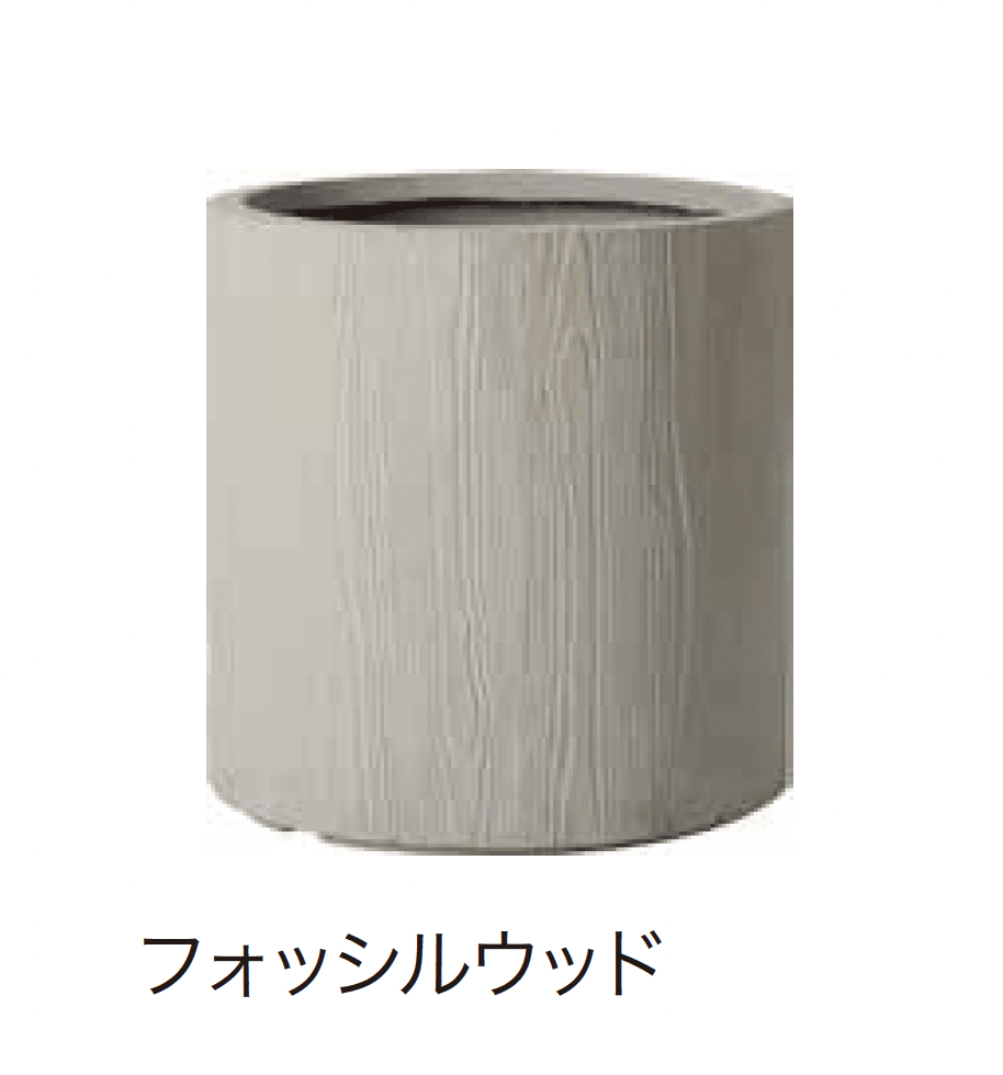 ゆとりの「アルファ」