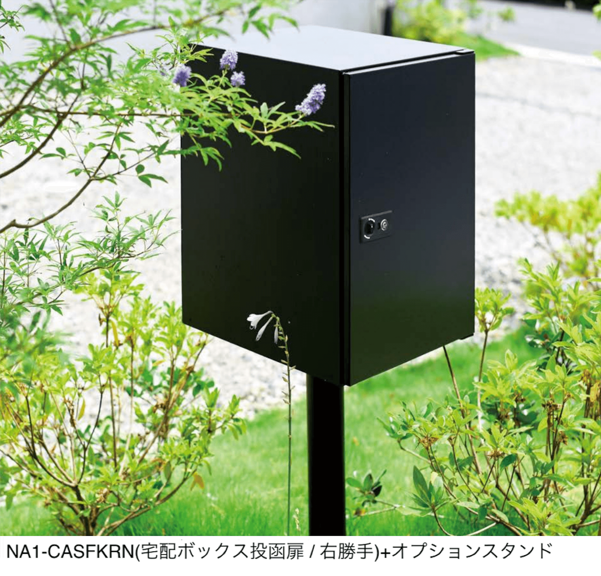 オンリーワンクラブの「キャス」