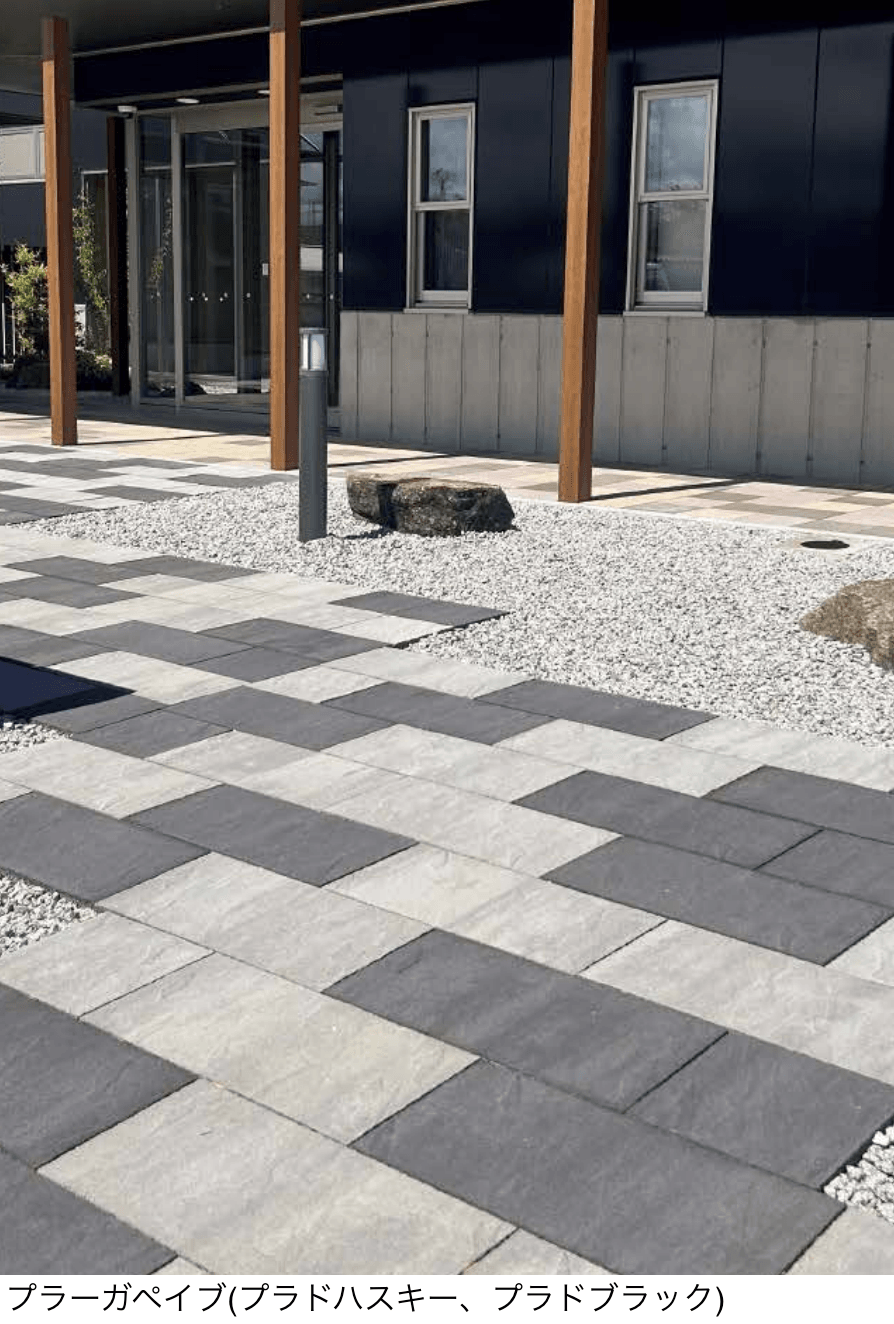 東洋工業の「プラーガペイブ」のサブ画像1
