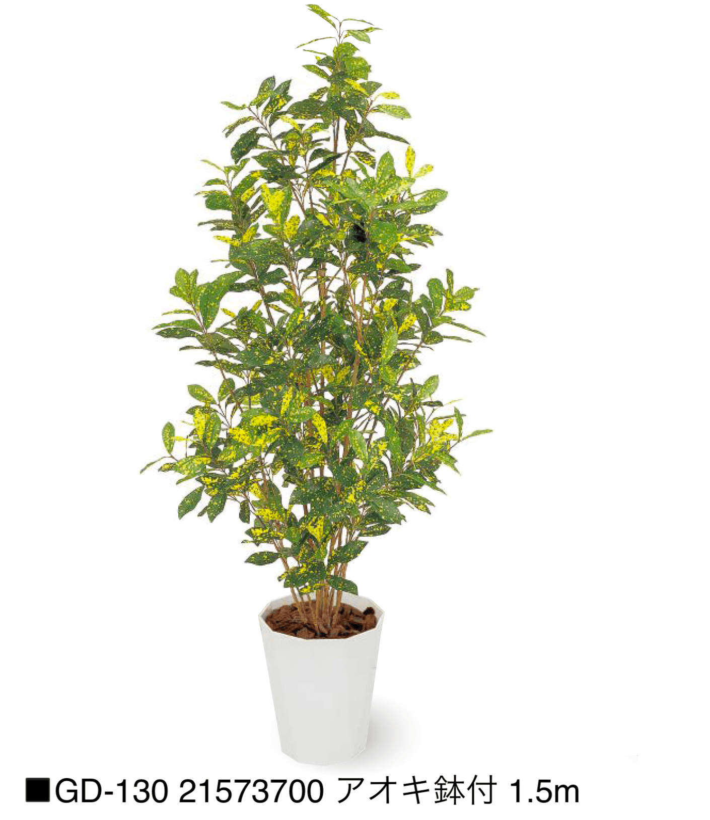 タカショーの「観葉植物【2025年版】」のサブ画像20