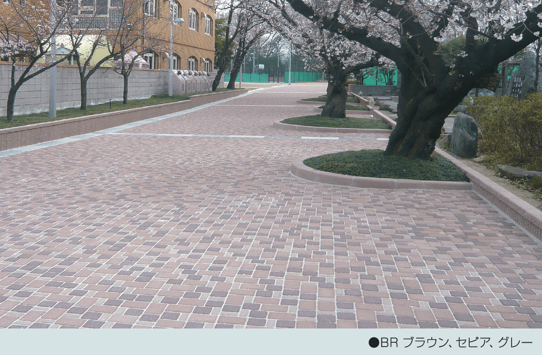 マツオコーポレーションの「コブレックス DX・スタンダード【2024年版】」