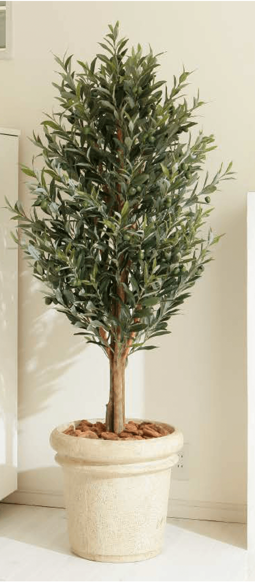 タカショーの「観葉植物」のサブ画像1