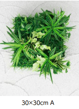 タカショーの「壁面アレンジ【2024年版】」のサブ画像15