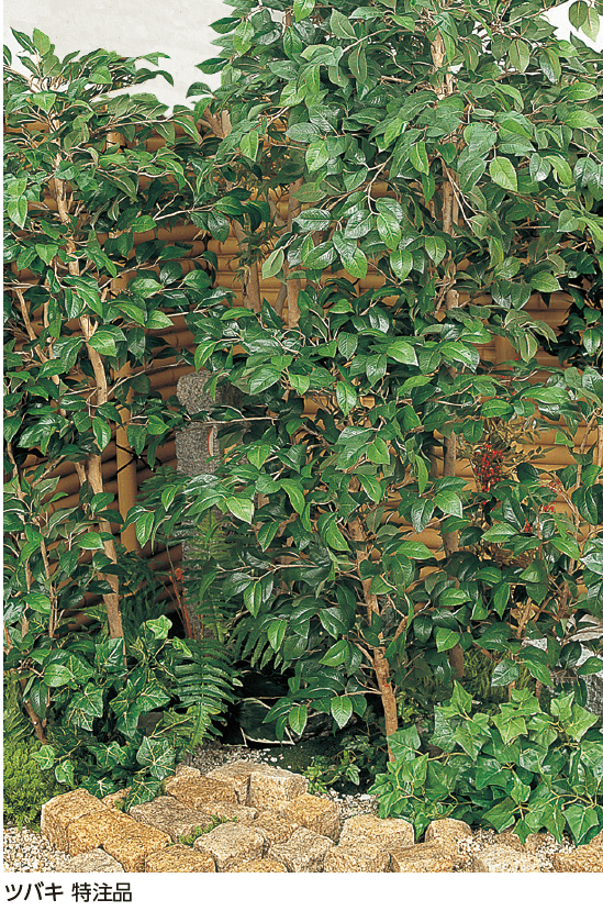 タカショーの「和風観葉植物【2024年版】」