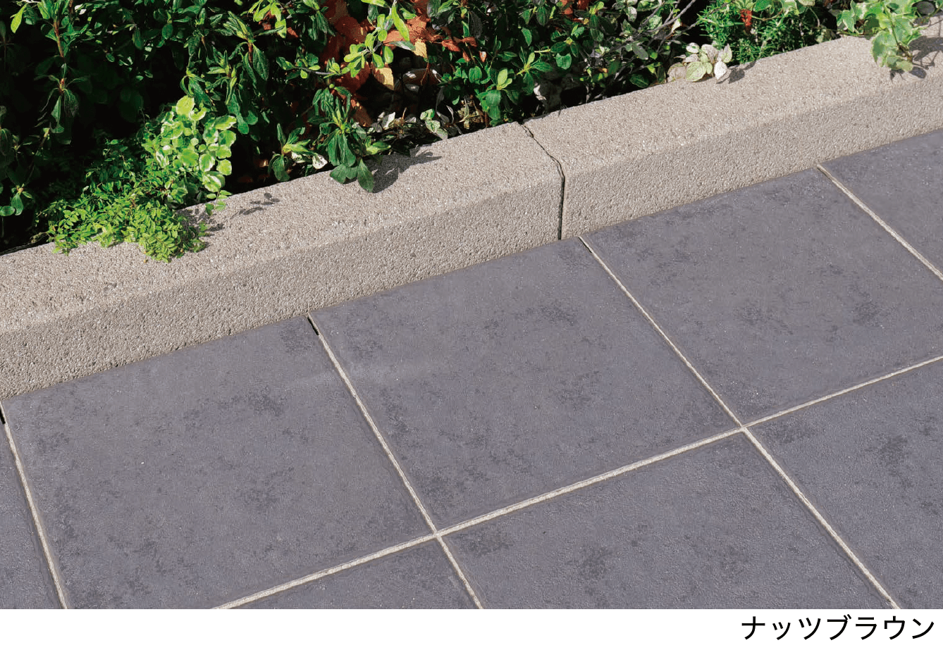 エスビックの「セレクトエッジ【2024年版】」