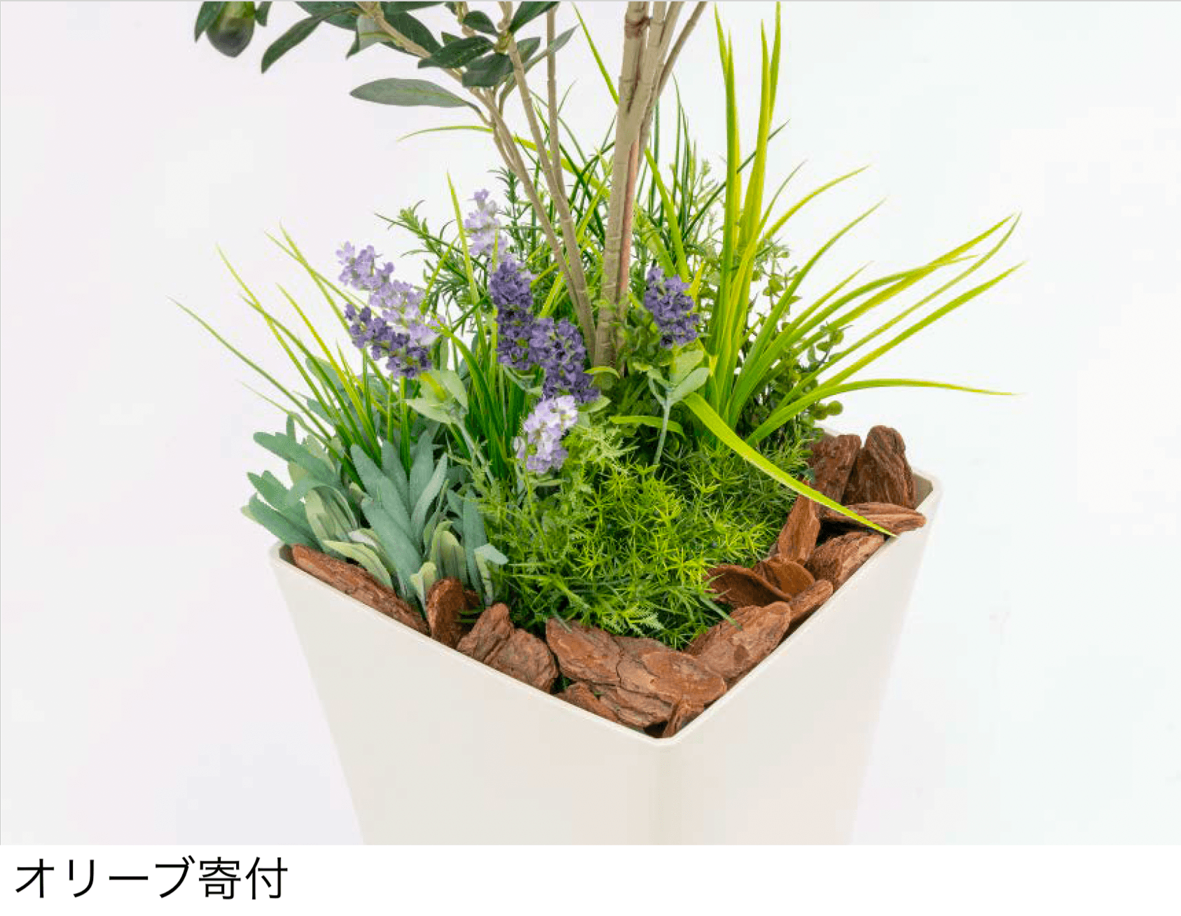 タカショーの「観葉植物」のサブ画像2