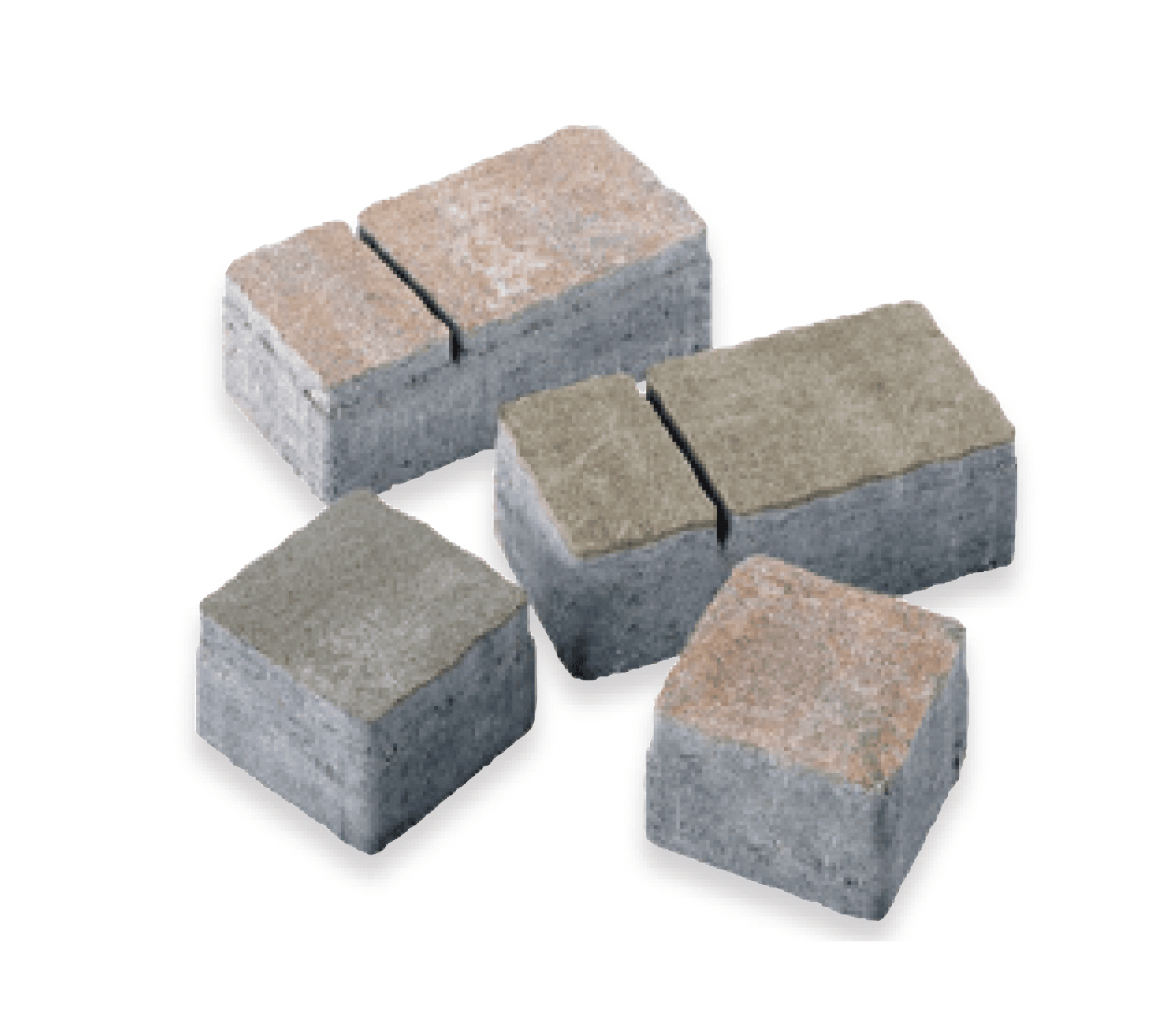 マチダコーポレーションの「カッシア」のサブ画像1