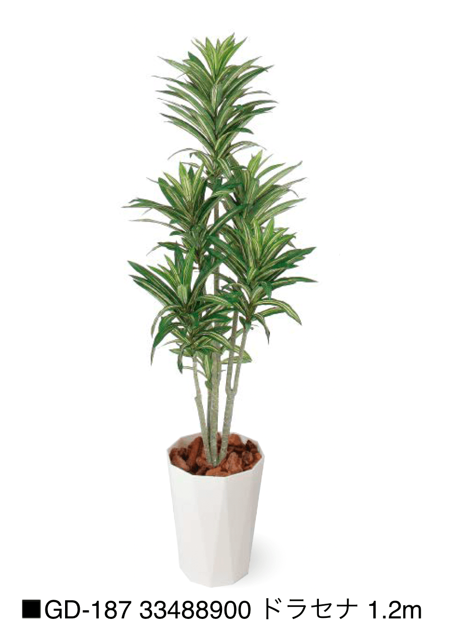 タカショーの「観葉植物【2025年版】」のサブ画像15