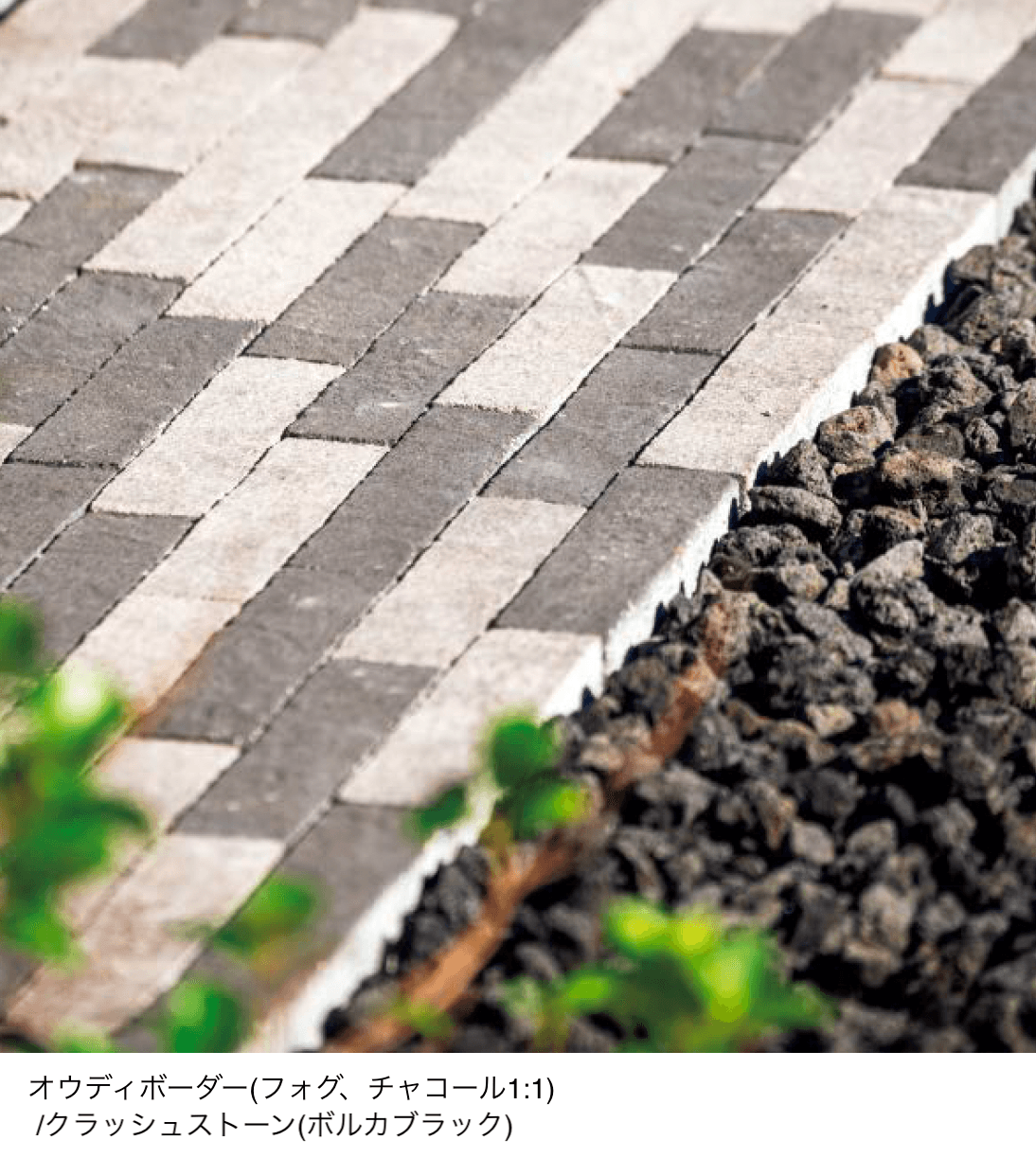 東洋工業の「オウディボーダー」のサブ画像2