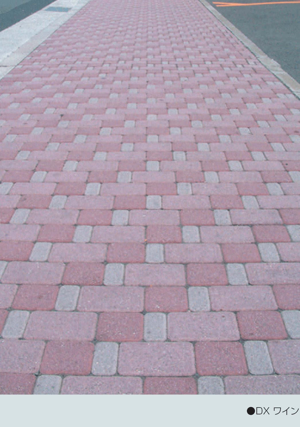 マツオコーポレーションの「コブレックス」のサブ画像2