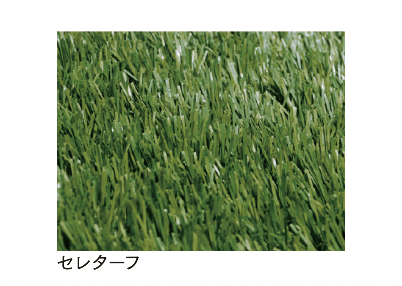マチダコーポレーションの「セレターフ」のサブ画像1