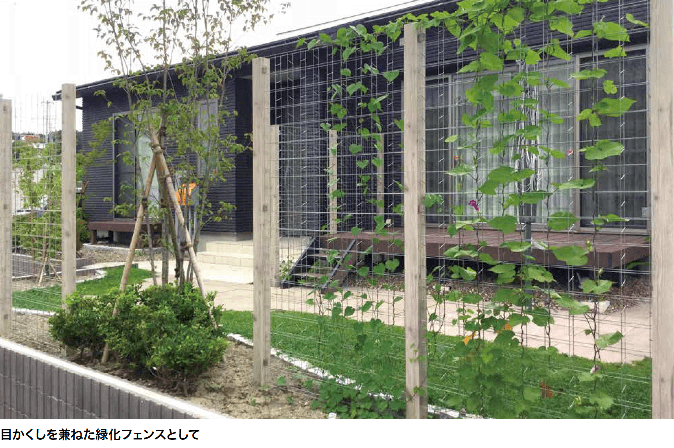 ゆとりの「トレメッシュ フェンス【2023年版】」