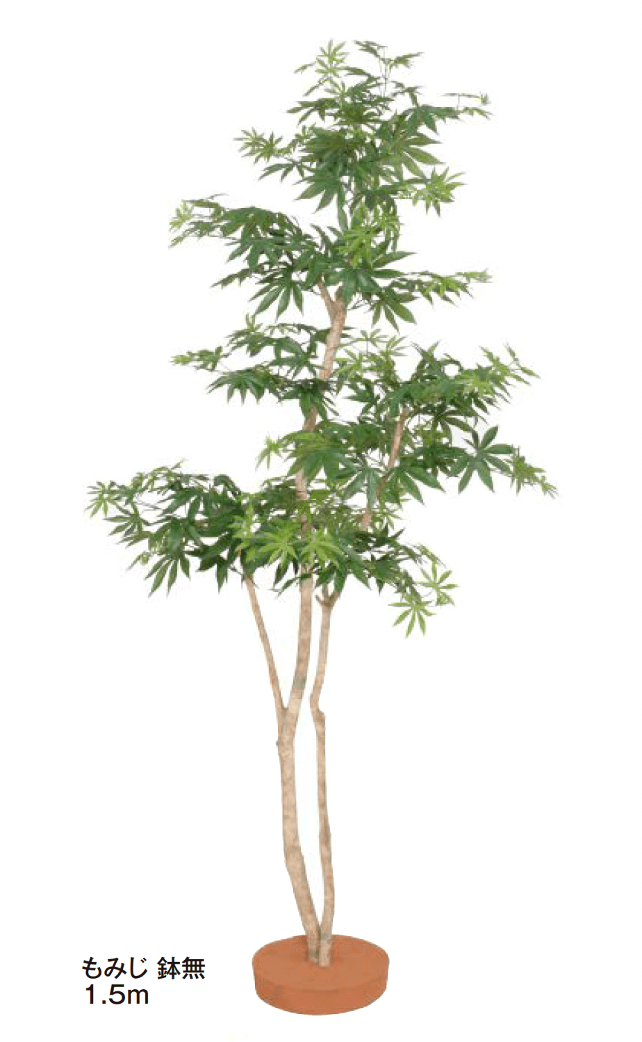 タカショーの「和風もみじ【2024年版】」のサブ画像2