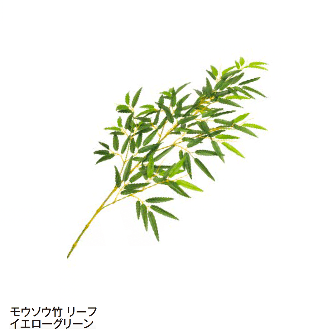 タカショーの「リーフ【2024年版】」のサブ画像3