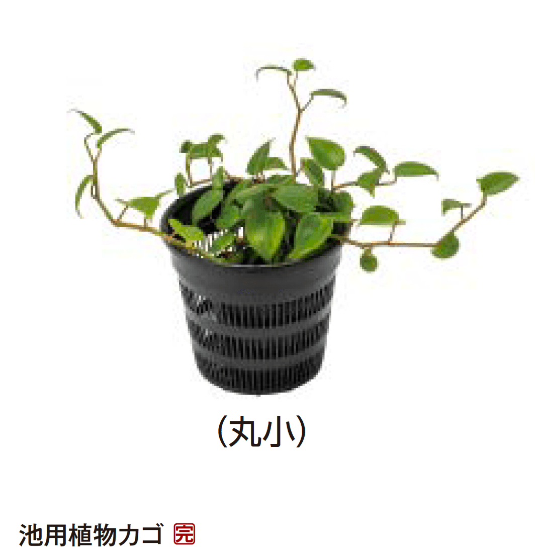 タカショーの「ウォーターアクセサリー【2024年版】」のサブ画像2