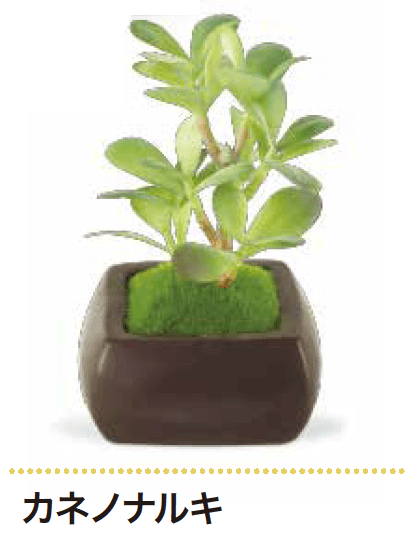 ゆとりの「消臭アーティフィシャルグリーン WA BONSAI【2023年版】」のサブ画像4