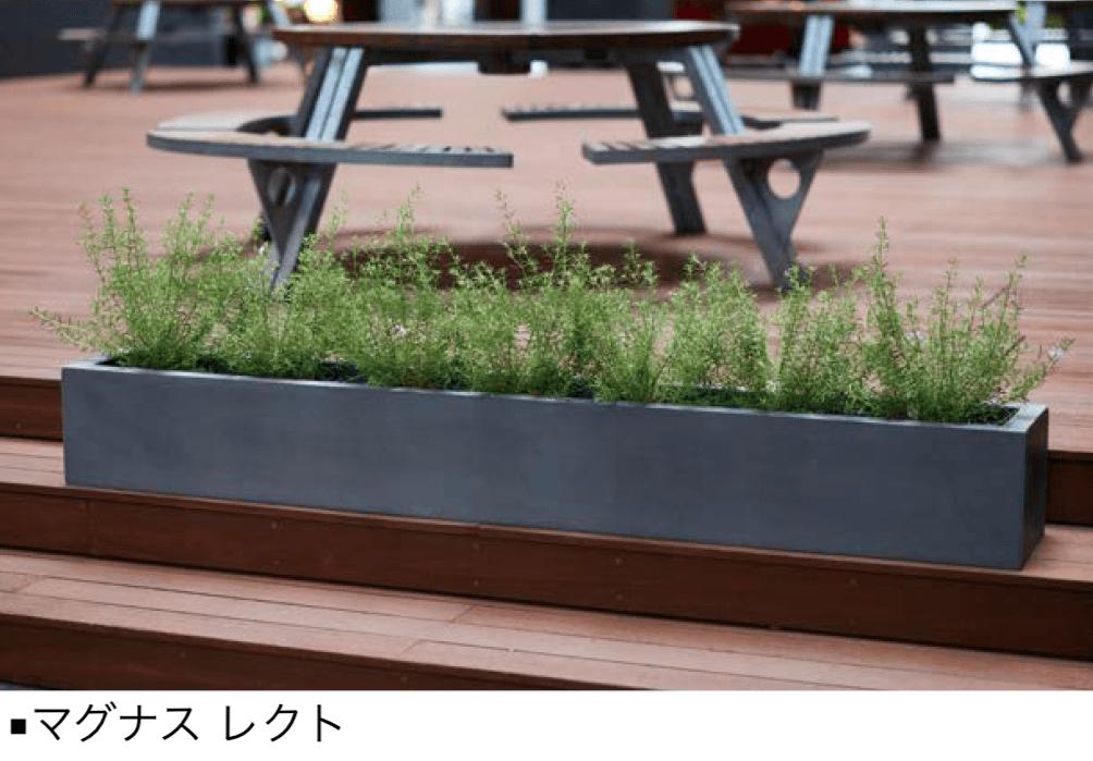 オンリーワンクラブの「マグナス」のサブ画像3