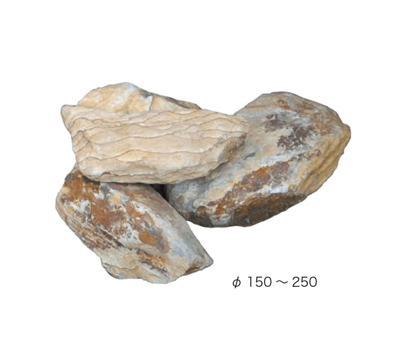 オンリーワンクラブの「マーブルロッカリー」のサブ画像3