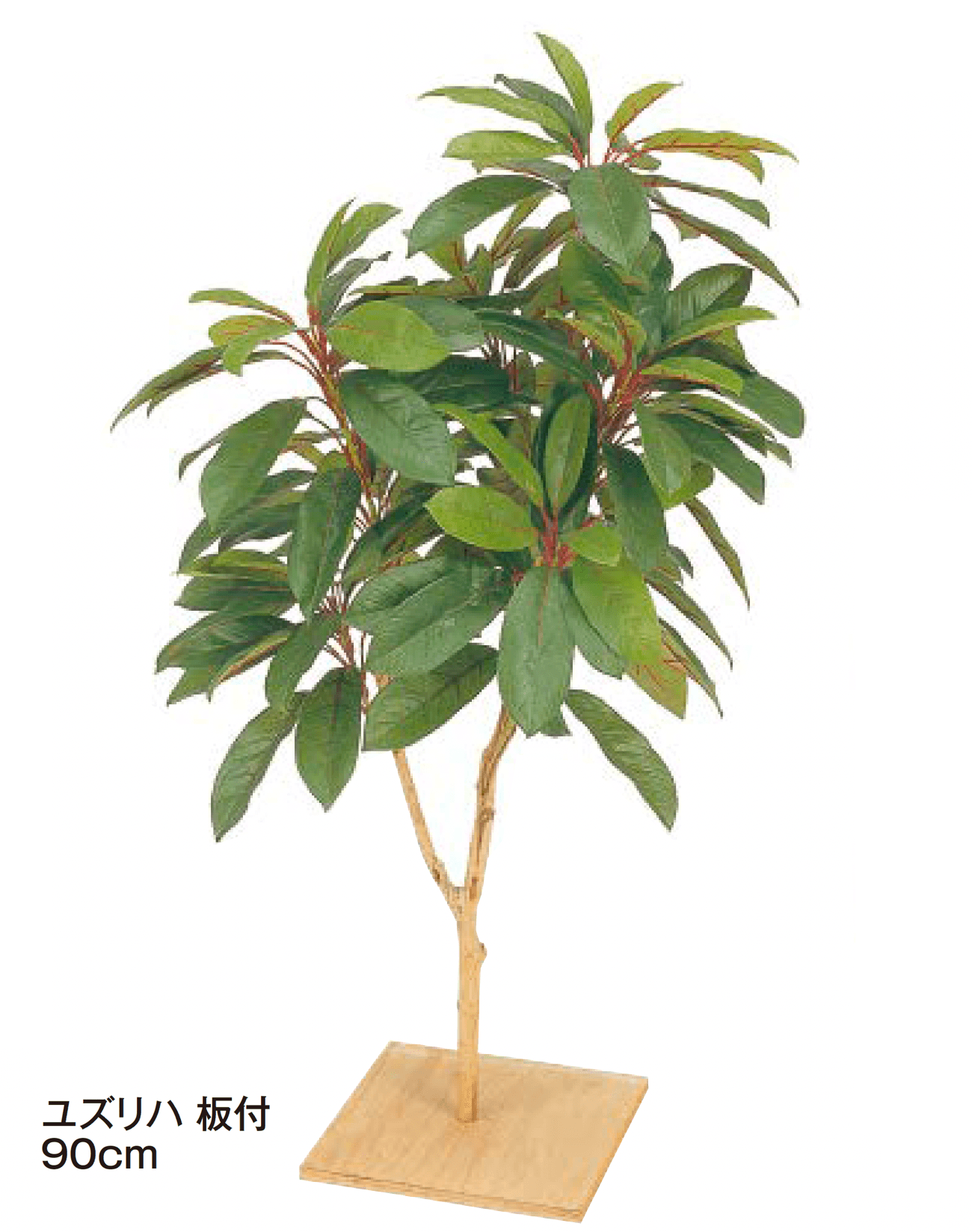 タカショーの「板付【2024年版】」のサブ画像5