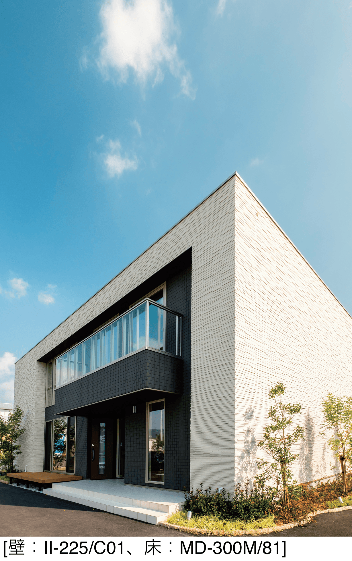 アイコットリョーワの「カノンⅡ」