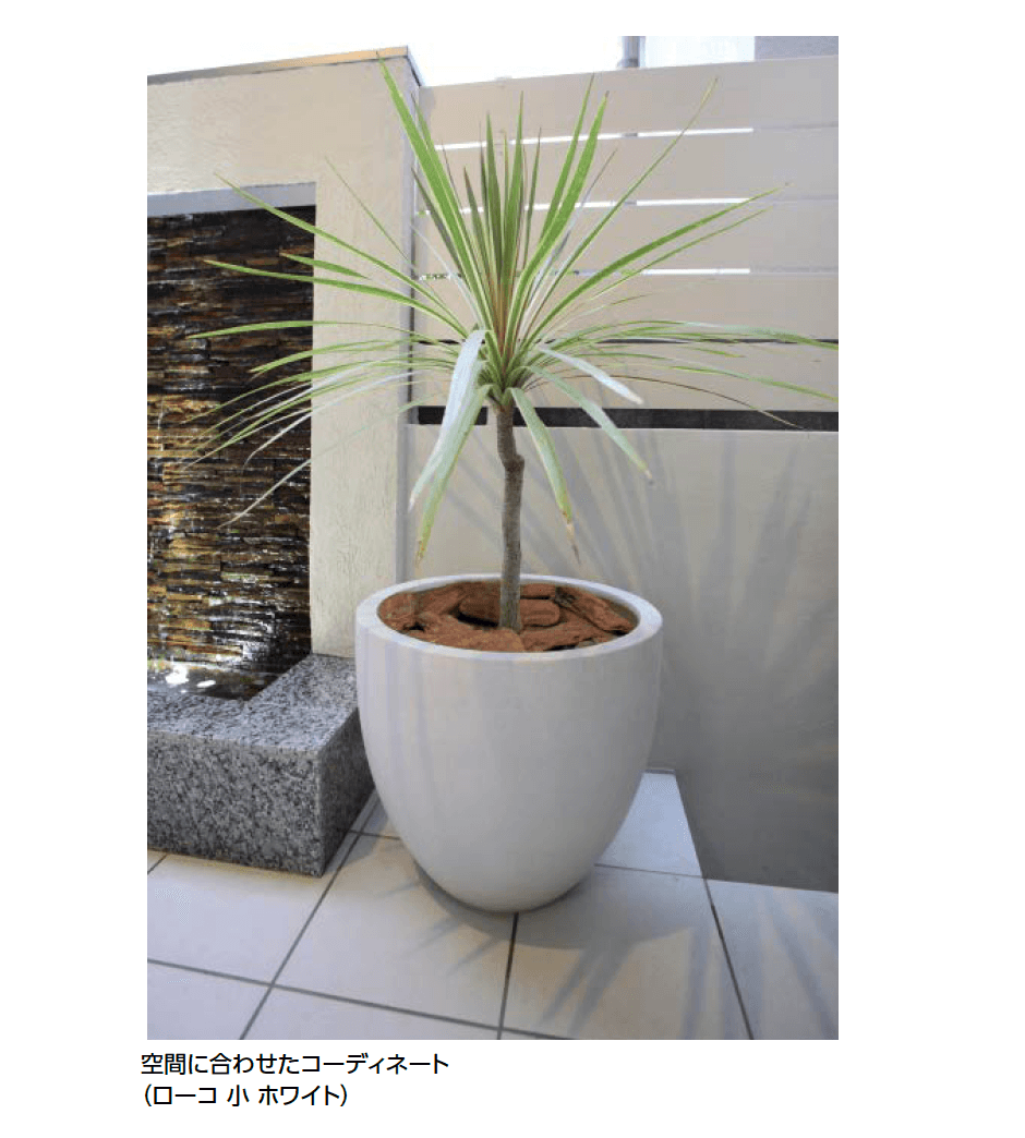 タカショーの「ローコ/トリル【2024年版】」