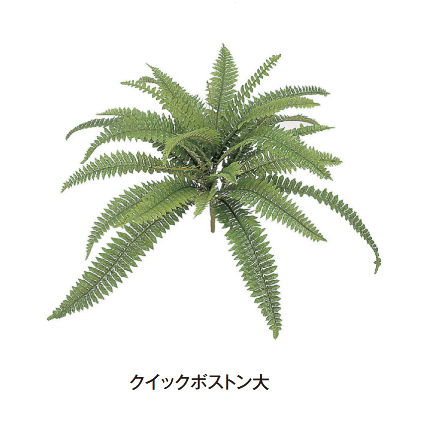 タカショーの「グランドカバー 下草」のサブ画像18