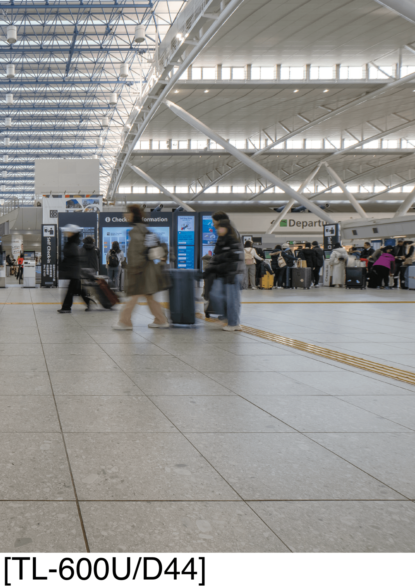 アイコットリョーワの「セロⅡ」