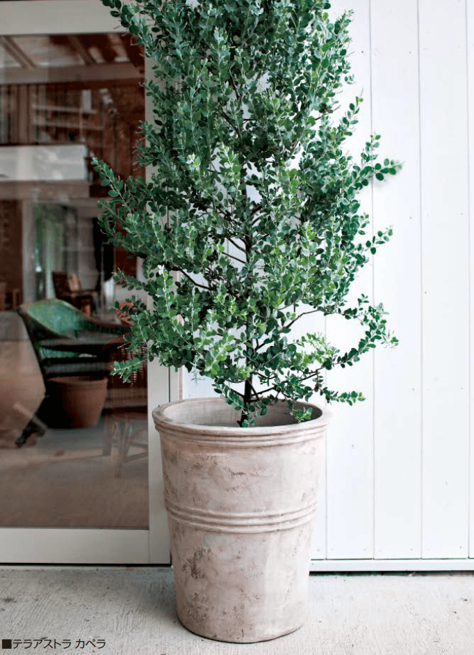 オンリーワンクラブの「テラアストラ【2023年版】」のサブ画像1