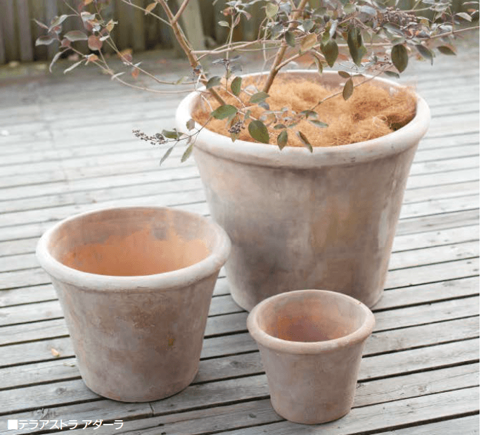 オンリーワンクラブの「テラアストラ【2023年版】」のサブ画像3