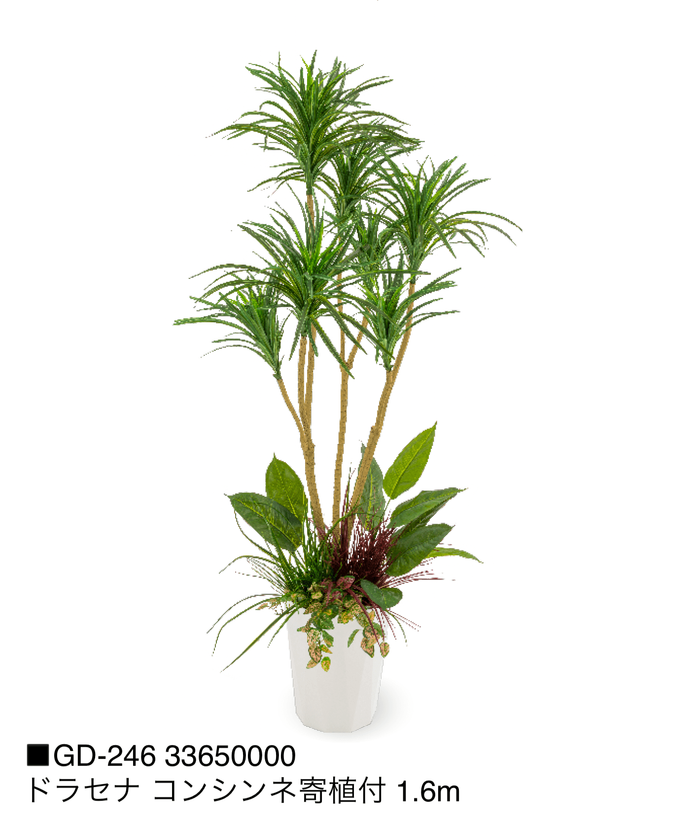 タカショーの「観葉植物【2025年版】」のサブ画像22