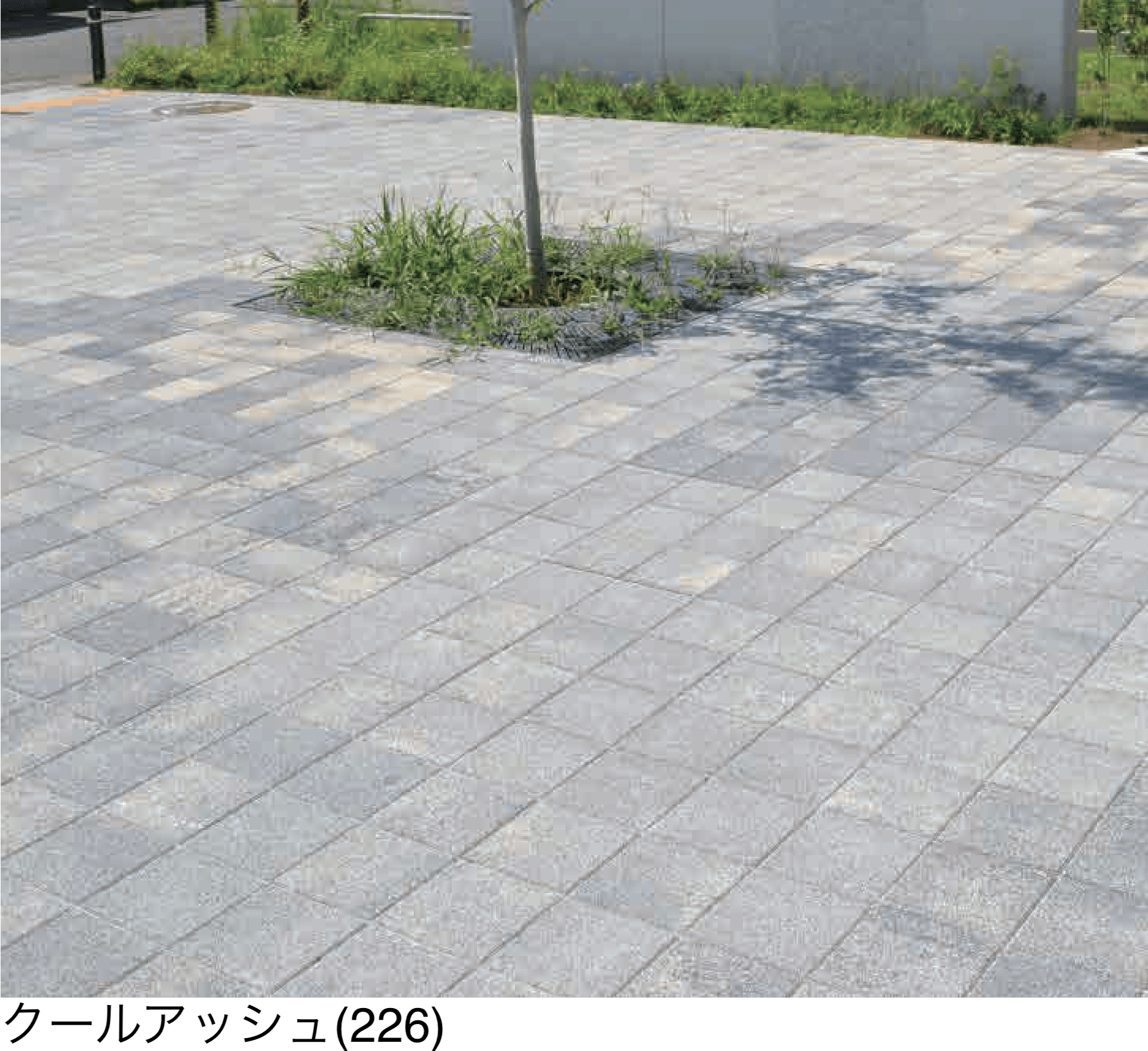 エスビックの「シャビー」のサブ画像1