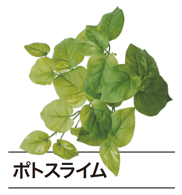 ゆとりの「ぴたっとグリーン【2024年版】」のサブ画像3
