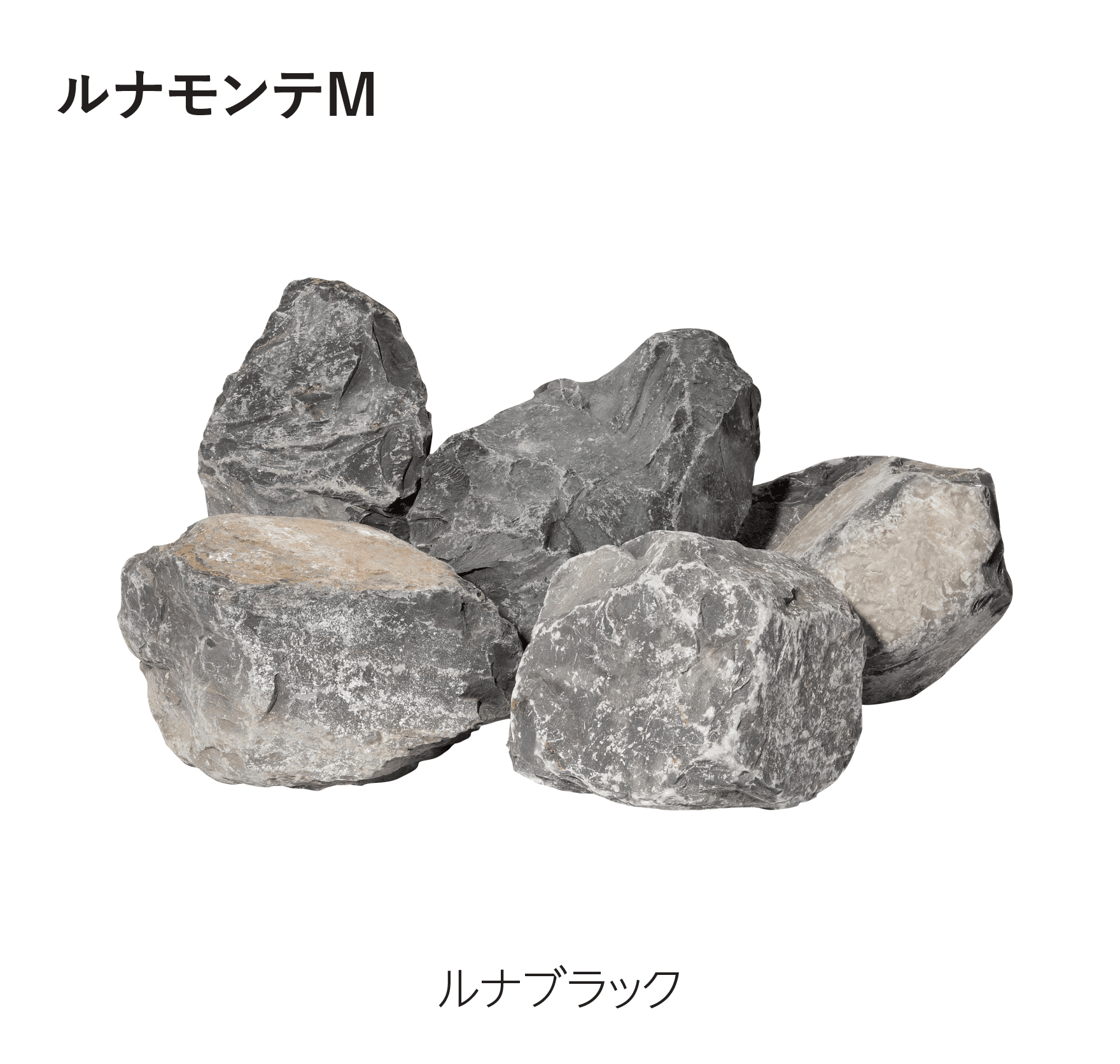 エスビックの「ルナモンテM/ルナモンテS」のサブ画像5