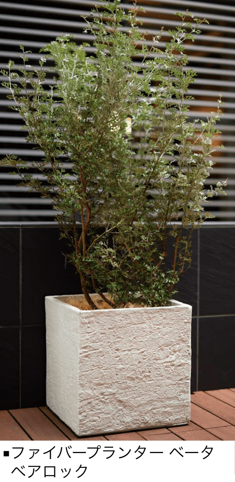 オンリーワンクラブの「ファイバープランター」のサブ画像4