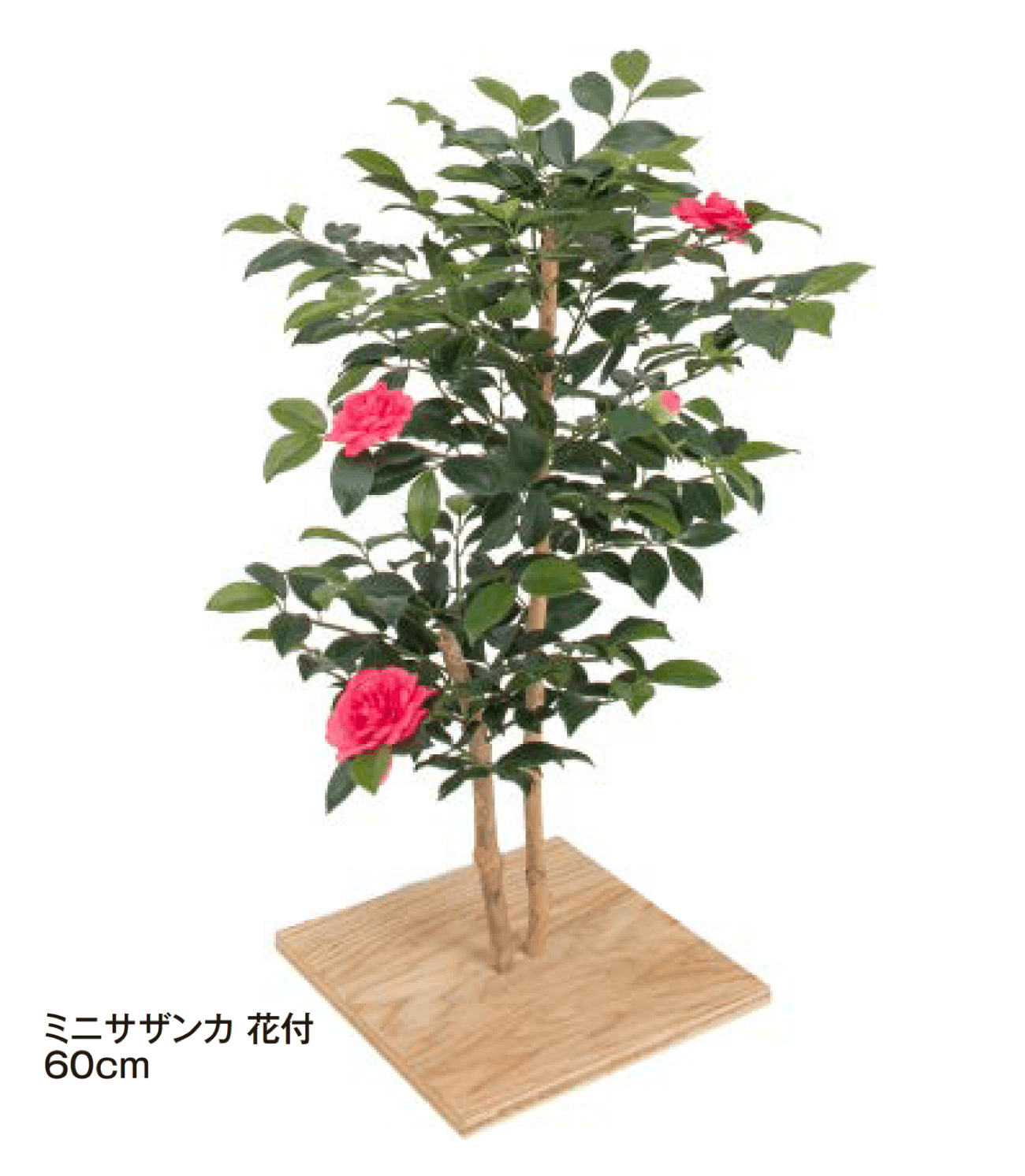 タカショーの「板付【2024年版】」のサブ画像3