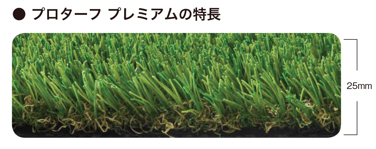 オンリーワンクラブの「プロターフ スタンダード/プレミアム【2024年版】」のサブ画像7